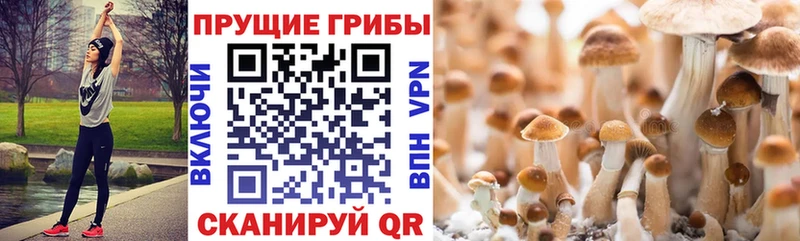 продажа наркотиков  Нерехта  Псилоцибиновые грибы мицелий 